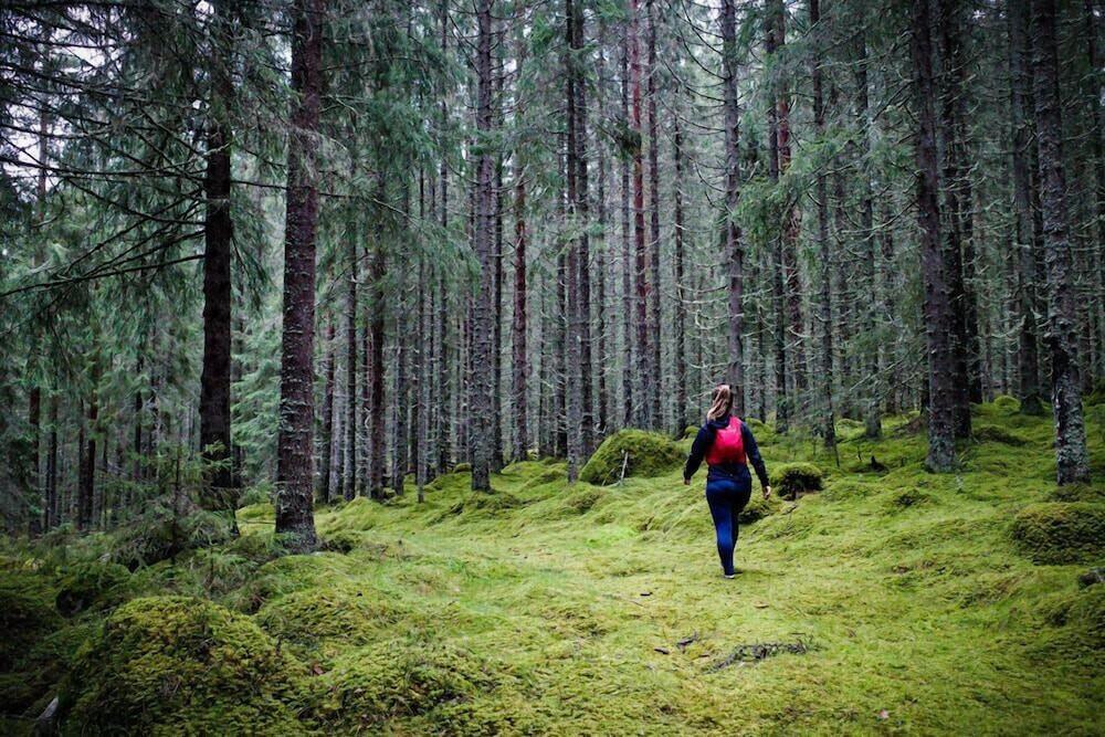 Hotell Hallstaberget Sollefteå Dış mekan fotoğraf