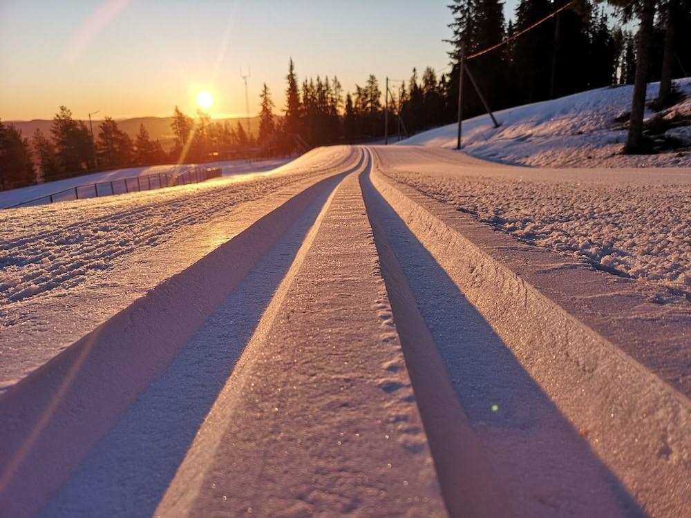 Hotell Hallstaberget Sollefteå Dış mekan fotoğraf